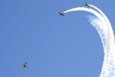 Canadian Harvards