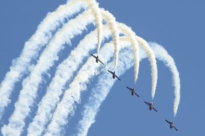 CF Snowbirds line abreast