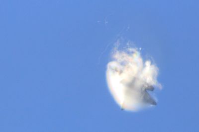 Raptor vapour