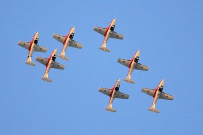 CF Snowbirds wedge