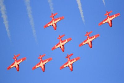 CF Snowbirds @ Airshow London '24