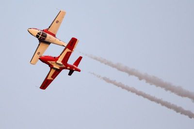 CF Snowbirds back to back