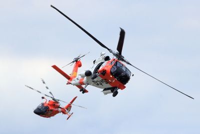 U.S. Coast Guard Jayhawk & Dolphin