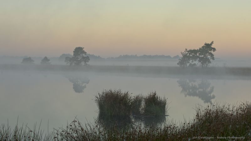 R6II2543 Haaksbergerveen.jpg