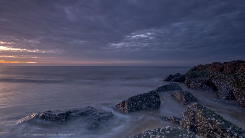 R6II5416 Texel at the beach.jpg