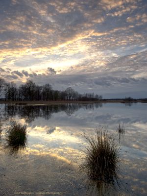 Haaksbergerveen