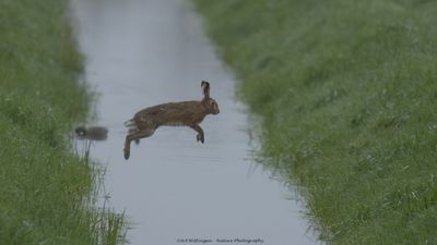 g13/55/947955/3/173508230.d6342df1.JPEG