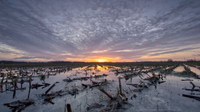 Sunrise Wennewickweg