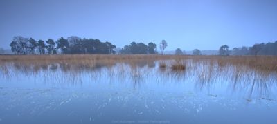 Steenhaarplassen