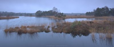 Steenhaarplassen