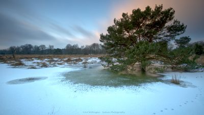 Buurserzand - The Netherlands