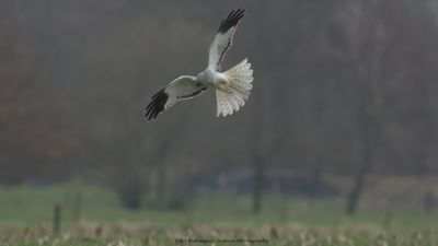 g13/55/947955/3/174339783.7d13790b.JPEG