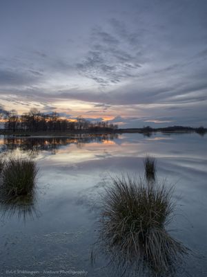 R6II3268Sunset Haaksbergerveen.jpg