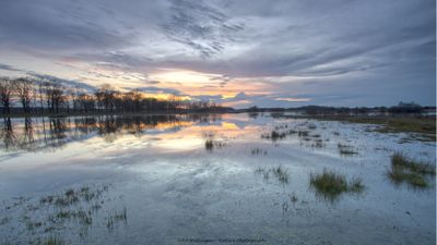 R6II3267 Sunset Haaksbergerveen.jpg