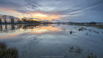 R6II3262 Sunset Haaksbergerveen.jpg