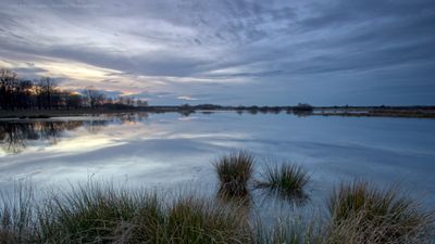 R6II3271 Blue hour Haaksbergerveen.jpg