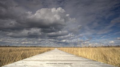 Clouds