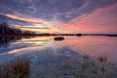 colored evening