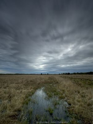 R6II5070 Dreigende lucht.jpg