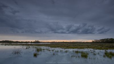 R6II5217 Regenfront.jpg