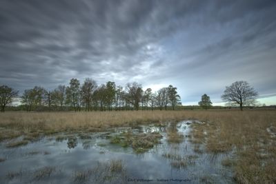 R6II5085 Haaksbergerveen Long exposure.jpg