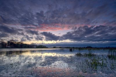 Wolken