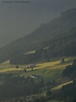 g13/55/947955/3/174758251.917b5e0d.JPEG