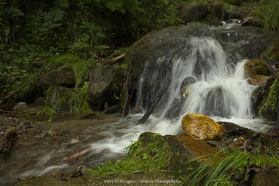 R6II7162-R6II7163 Waterval.jpg