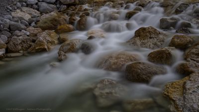 R6II8262 Go with the flow.jpg