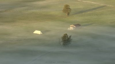 g13/55/947955/3/174788867.0901d4b8.JPEG