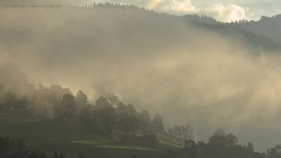 g13/55/947955/3/174788870.df853147.JPEG