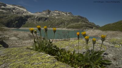 R6II4770 Weisssee.jpg