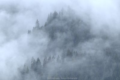 R6II6641 Mist covered mountains.jpg