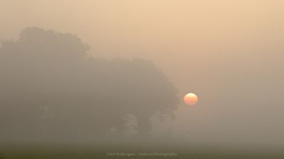 R6II9416 Sunrise.jpg