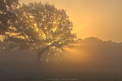 Sunday Sunrise