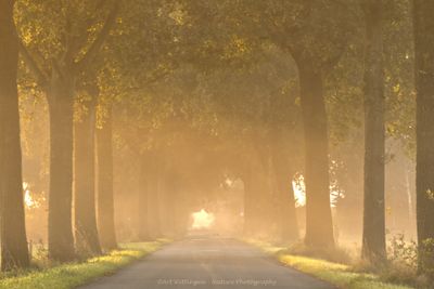 Into the light
