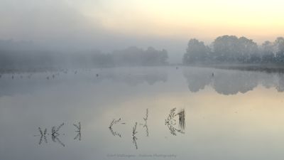Just before sunrise