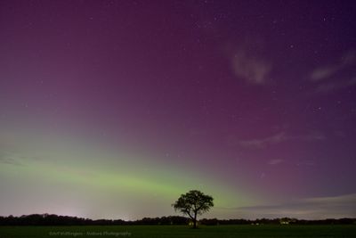Northern light
