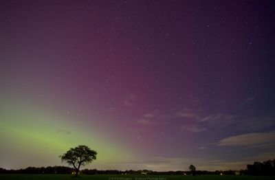 Northern light