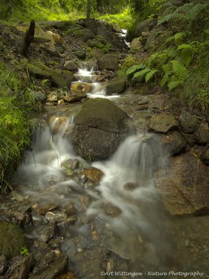 R6II7138-R6II7141.jpg