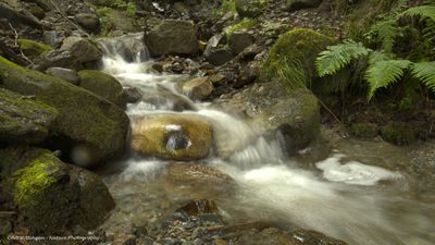 R6II7170-R6II7175 Waterval.jpg