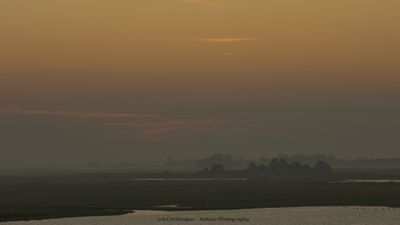 Texel