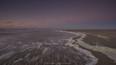 R6II8580 At the beach.jpg
