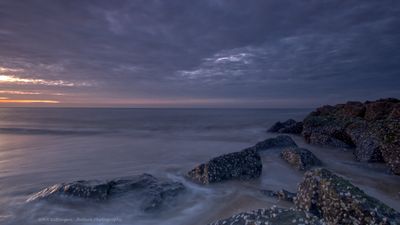 R6II5416 Texel at the beach.jpg