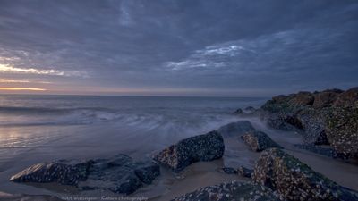 R6II5423 TExel at the beach.jpg