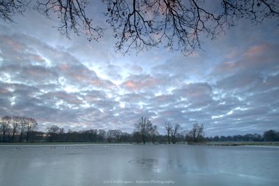 R6II1920 hoog water dinkel.jpg