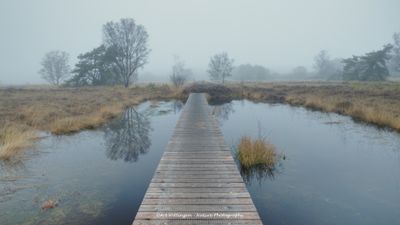 Steenhaarplassen