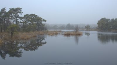 Steenhaarplassen