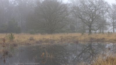 Buurserzand