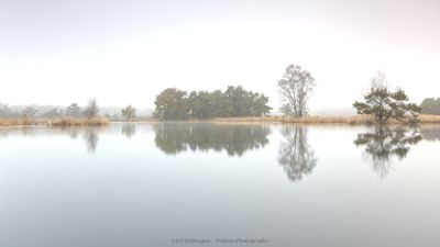Buurserzand - The Netherlands